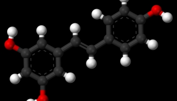 Resveratrol y diabetes: una revisión crítica de estudios clínicos